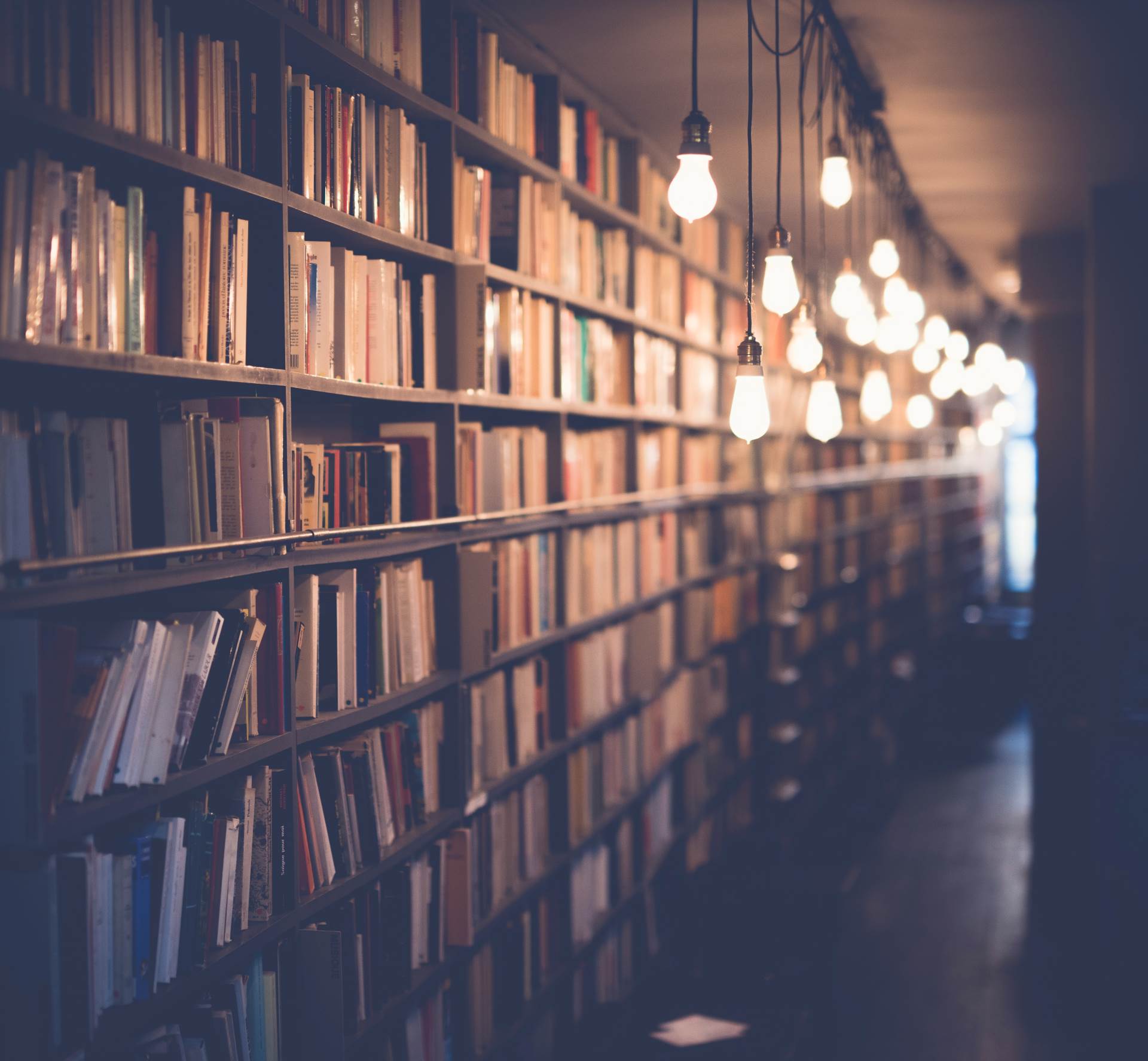 This is an image of a library with light bulbs hanging down to light the books up