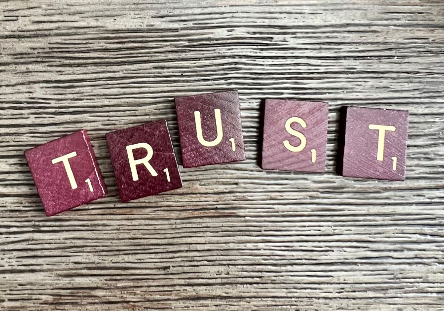 This is an image of the word trust spelt out with letters