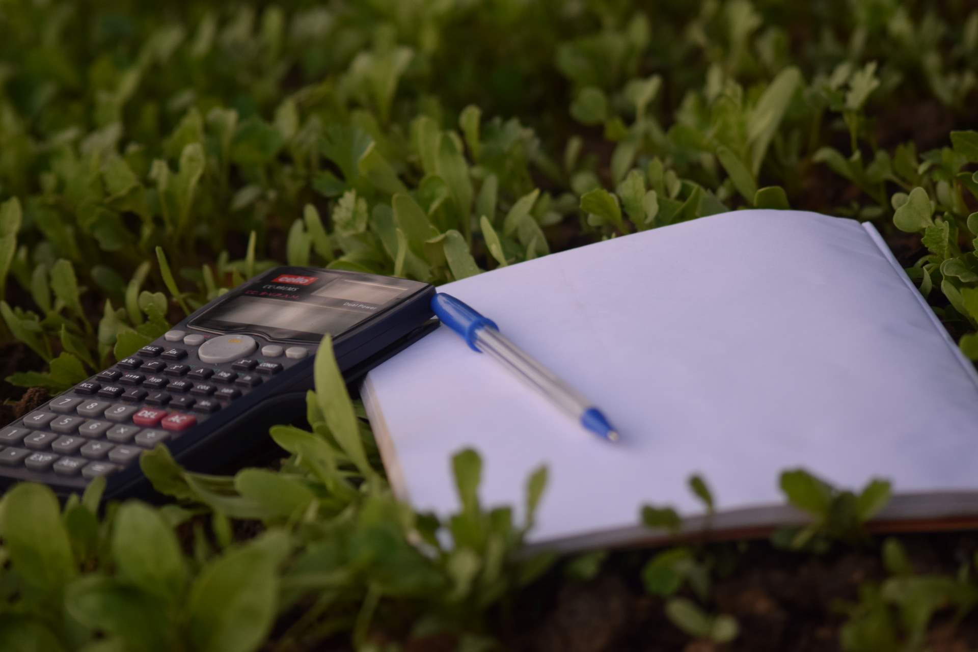 This is an image of a calculator and paper on a bed of plants