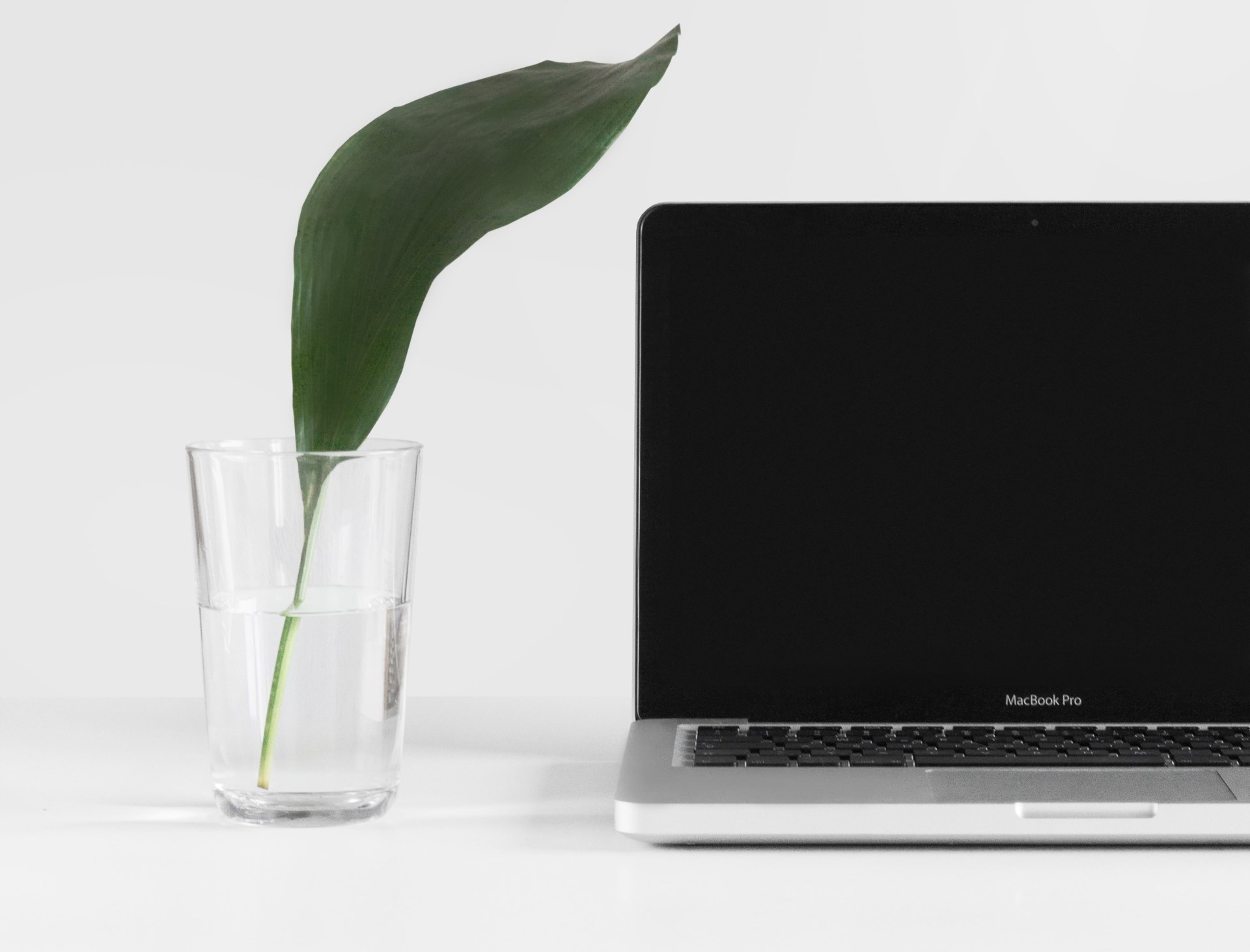 This is an image of a decluttered work space