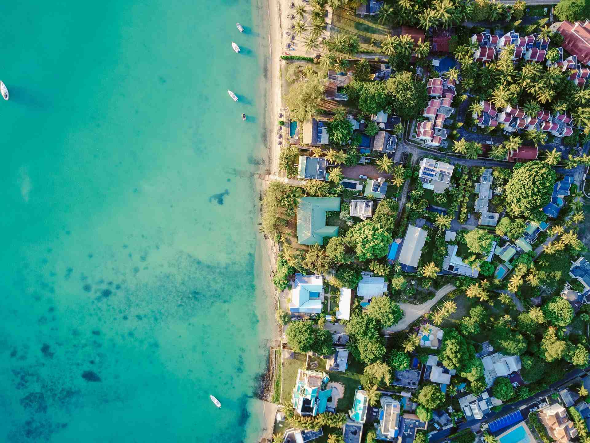This is an overview image of the beach and the ocean